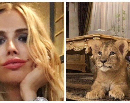 Съпруга на руски депутат дава лъвче под наем ВИДЕО