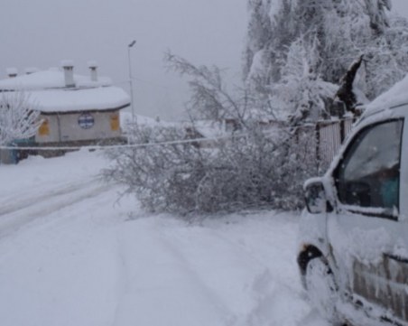 Пампорово е откъснато от света! Блокирани са туристи, снегът поваля дървета върху пътищата