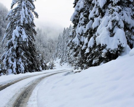 Разчистиха пътя към Пампорово, полицията контролира движението с КПП