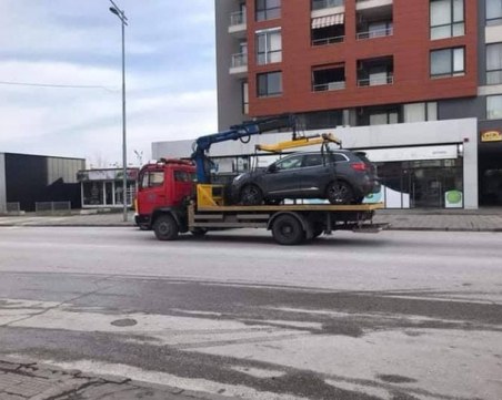 Акция в Тракия! Паяк вдига наред СНИМКА