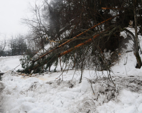 Министерството на туризма: Няма бедстващи туристи в зимните курорти