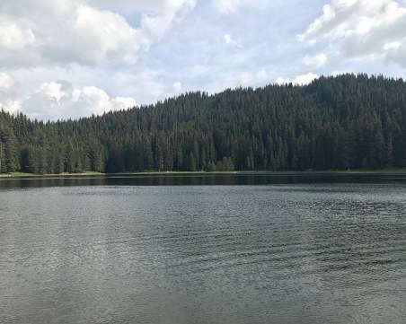 Крайният срок за подаване на декларации по чл.194б на Закона за водите изтича на 31 януари