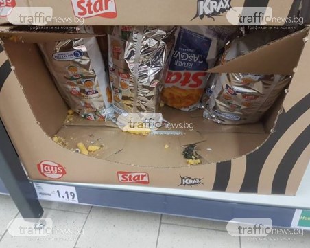 Мъртва мишка в пловдивски магазин стъписа посетителите СНИМКИ