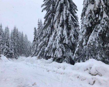 Отварят за движение прохода Превала