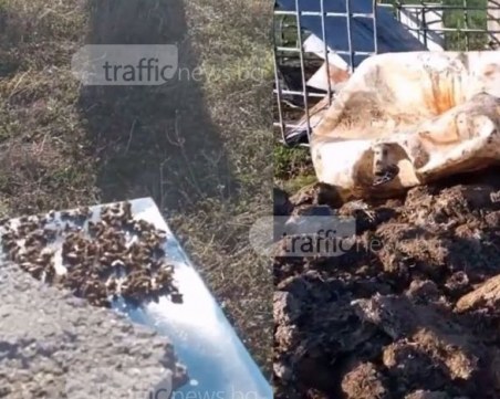 Съдът попари жителите на Труд, отхвърли жалбата им срещу разширяване на инсталацията за биомаса