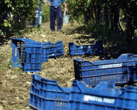 След Брекзит: Няма българи и поляци - има проблем
