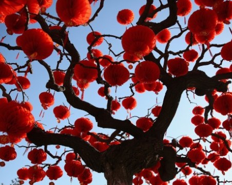 Специалисти по фън шуй: В годината на земния глиган светът ще гази в кал