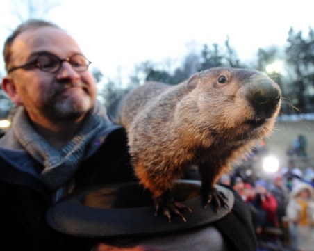 Ето как мармотът Фил предрече, че пролетта ще подрани