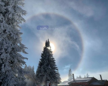 Пролет насред зима – 17°C неделни. Какво ще е времето идната седмица?