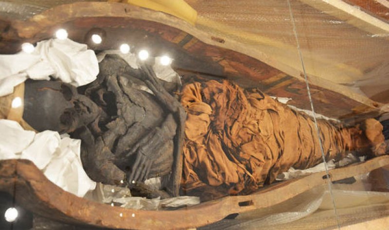 Открих древен гроб с 50 мумии! Египетските археолози все още търсят следи кои са мъртвите ВИДЕО