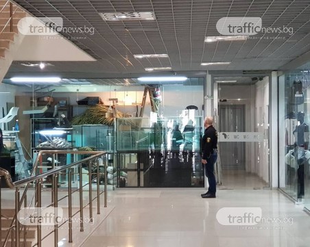 7-метров питон избяга в пловдивски търговски център! Пожарната праща екипи, за да го заловят