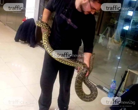 Ето я! Запознайте се със змията беглец СНИМКА