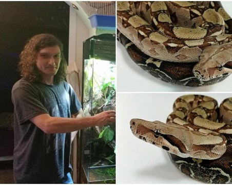 Къде е змията беглец? Кой и защо превърна търговски център в Пловдив в терариум? СНИМКИ и ВИДЕО