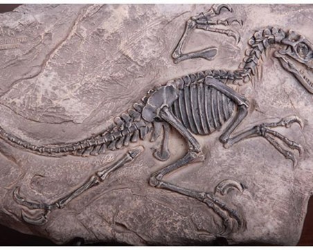 Откриха непознат вид тревопасен динозавър ВИДЕО