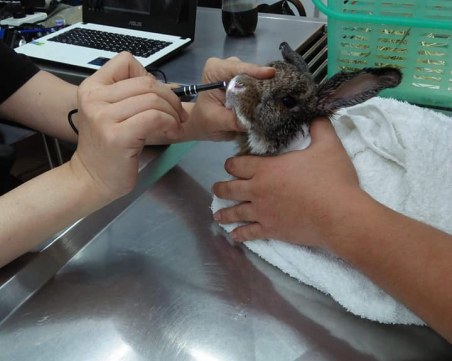 Как въздухът в Банкок убива СНИМКИ