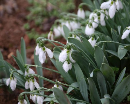 Слънчев уикенд се задава! На места градусите ще скочат и до 10