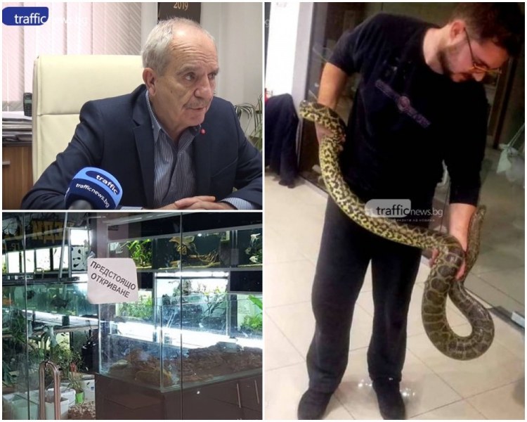 Директорът на БАБХ-Пловдив: Зоомагазинът с избягалата змия в Гранда е незаконен ВИДЕО