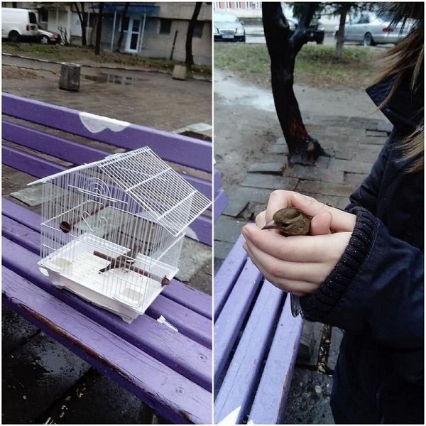 13-годишната Ирина от Асеновград е местният д-р Дулитъл, спасява птици, храни мравки СНИМКИ