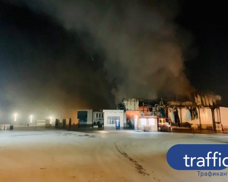 200 прасета – на поляна! Пожарът във Войводиново продължава