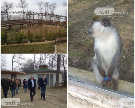 Доставят над 50 животни преди откриването на зоопарка в Пловдив, след това идват екзотичните ВИДЕО