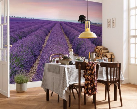 Модерно обзавеждане на дома с акцент... лавандула СНИМКИ