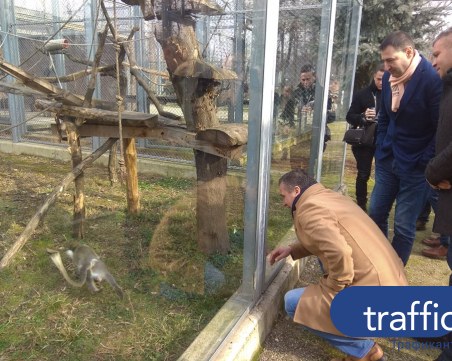 Завършват пловдивския зоопарк за 27 дни! Откриват го през лятото СНИМКИ