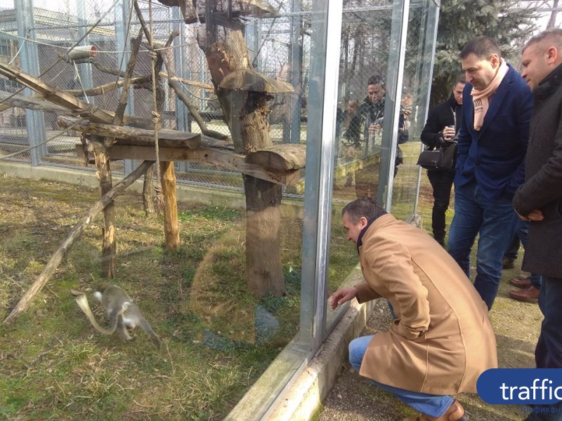 Завършват пловдивския зоопарк за 27 дни! Откриват го през лятото СНИМКИ