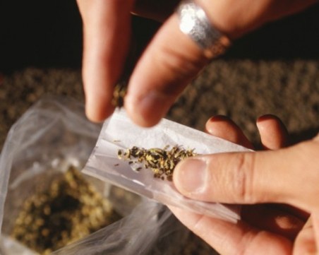 Откриха солидно количество канабис в дома на 20-годишен в Пазарджик