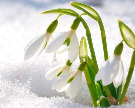 Край на зимата! В неделя я изпращаме... с удоволствие