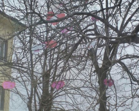 Усмихни се, денят е прекрасен! Дървета на любовта цъфнаха в Раковски СНИМКИ