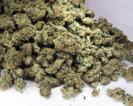 22-годишен, хванат с близо 2 килограма марихуана, остава в ареста