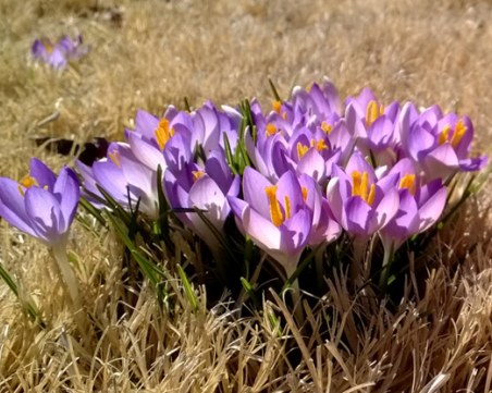 Слънчево утро, облачен следобед. Градусите днес – до 4°C