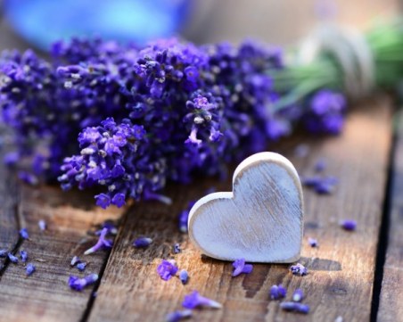 Все още нямате подарък за Свети Валентин? 8 идеи за цветни изненади СНИМКИ