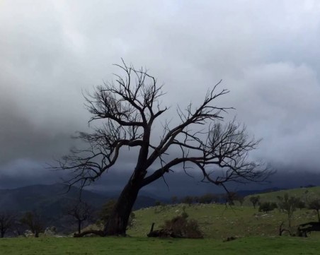 Петъчни снежни превалявания. Уикендът – слънчев, до 13°C