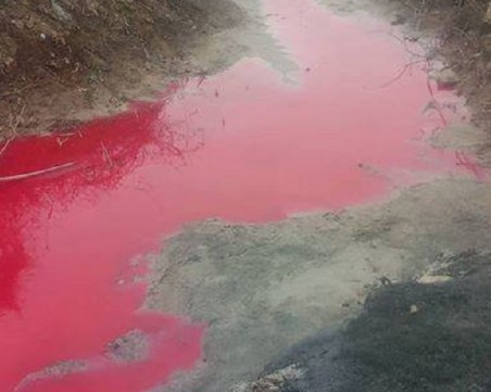 Водата във варненски канал почервеня от химикали. Кой ги изсипа?