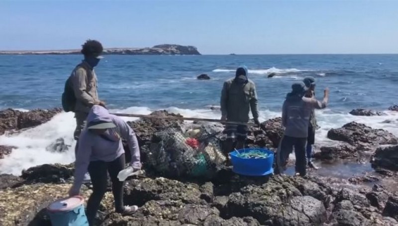 Само за седмица: Събраха 4,5 милиона тона боклуци от островите Галапагос