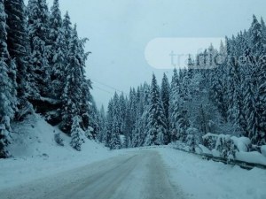 Нова снежна покривка в Смолянско! Въведоха ограничения по пътищата