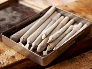 Спипаха пазарджиклия с голямо количество марихуана