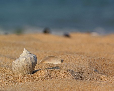 Американски сайт пусна в продажба пясък от плаж във Варна