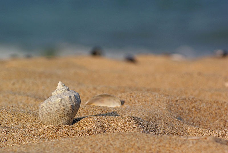 Американски сайт пусна в продажба пясък от плаж във Варна
