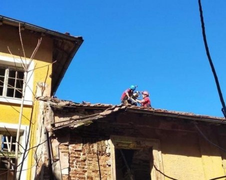 Кучета се покатериха на покрив и... вече седмица са без вода и храна! Алпинисти ги спасиха