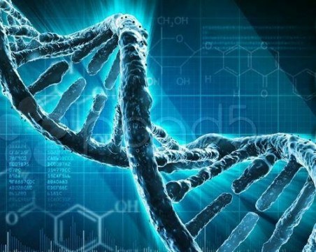 Учени откриха как генетиката влияе на затлъстяването