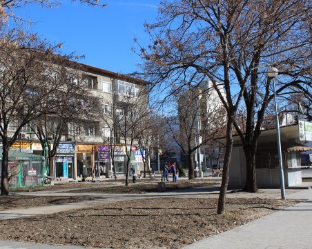 Засадиха над 1400 храста и 50 дървета в центъра на Пловдив СНИМКИ