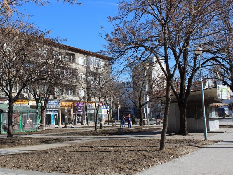 Засадиха над 1400 храста и 50 дървета в центъра на Пловдив СНИМКИ