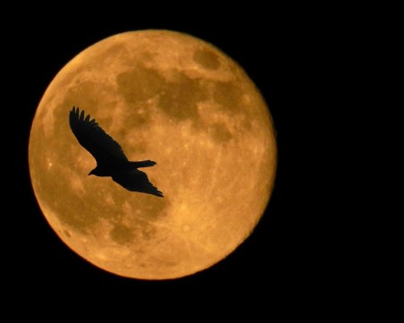 Суперлуната на 2019-а, днес в 17:55 ч. Какво може да очакваме?