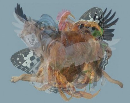 Първото животно, което видите, разкрива скрит аспект на личността ви