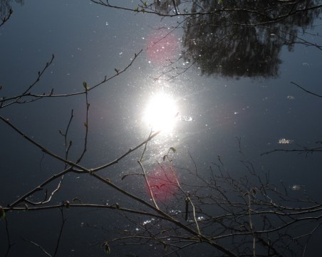 Срядата ще ни радва с щедро слънце, температурите днес до 17°C