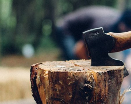 30 години затвор за мъжа, убил семейството си с брадва в Каспичан