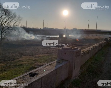 Нов пожар избухна в коритото на река Марица в Пловдив СНИМКИ
