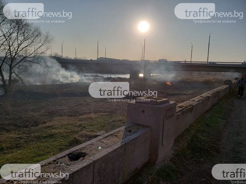 Нов пожар избухна в коритото на река Марица в Пловдив СНИМКИ